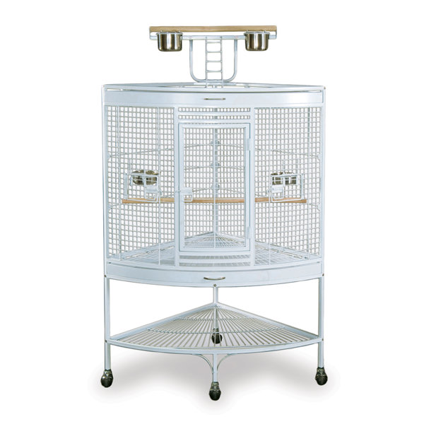 Tabletop Bird Cage Play Top Bird Cages You'll Love Wayfair.ie